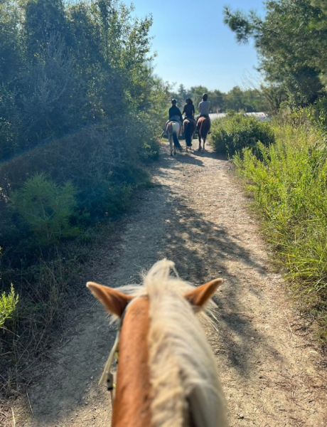 Antalya: Lara Beach & Forrest Horse Riding Safari | ®ExcursionMania