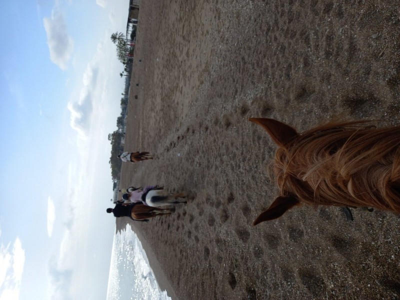 Antalya: Lara Beach & Forrest Horse Riding Safari | ®ExcursionMania
