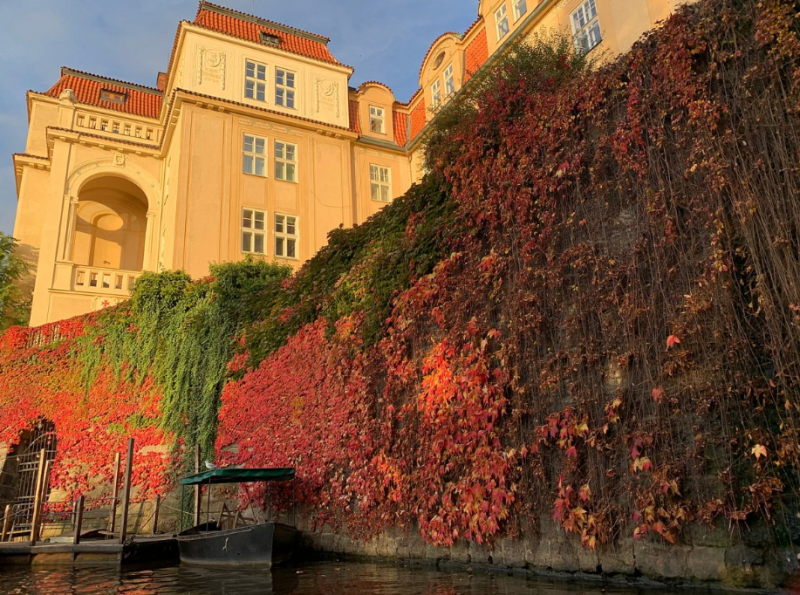 Best of Prague: Private City Walking Tour Boat Cruise and Czech Lunch | ®ExcursionMania
