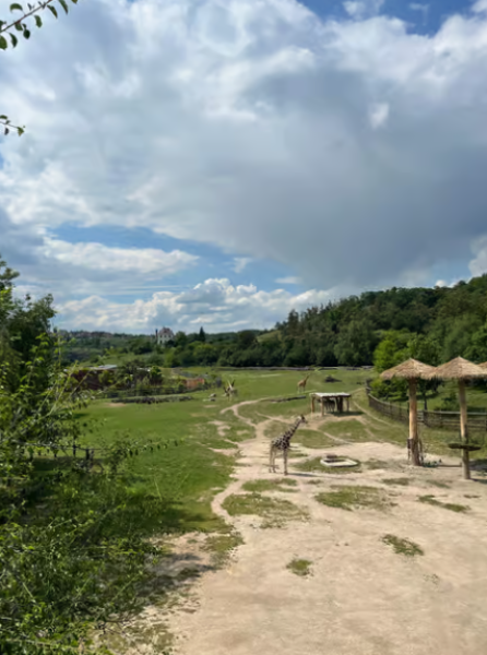 Vltava River Boat Trip and Zoo Entrance Ticket in Prague | ®ExcursionMania