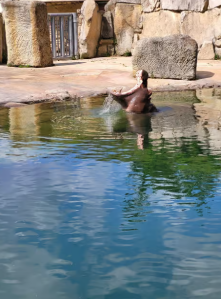Vltava River Boat Trip and Zoo Entrance Ticket in Prague | ®ExcursionMania