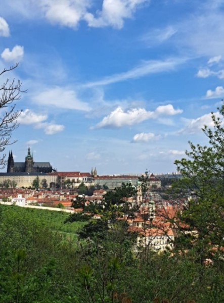 Private Scenic Evening Walking Tour In Prague | ®ExcursionMania