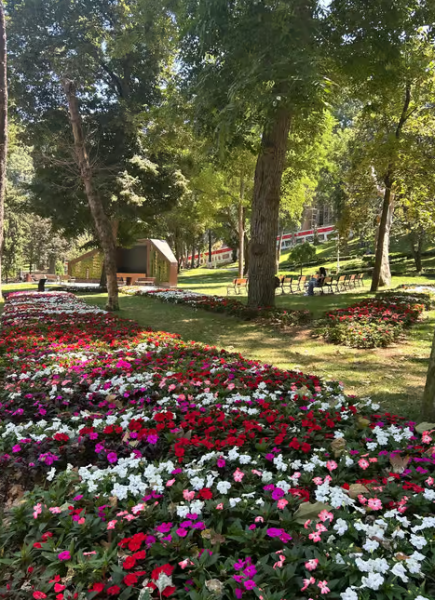 Istanbul: Topkapi Palace & Harem Museum Ticket & Audio Guide | ®ExcursionMania