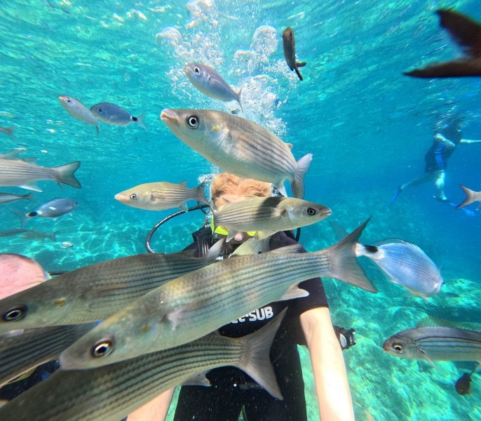 Marmaris Scuba Diving Experience, 2 Dives and Enjoyable Lunch | ®ExcursionMania