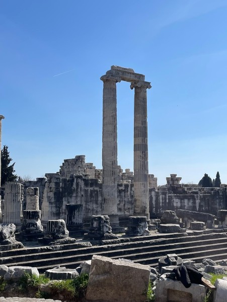 Izmir: Izmir: The Ultimate Priene Miletus & Didyma Experience | ®ExcursionMania
