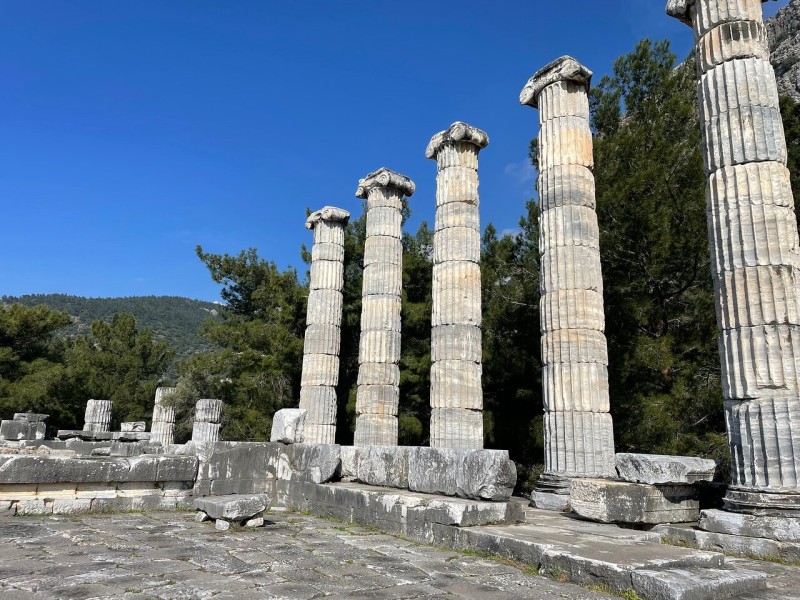 Izmir: Izmir: The Ultimate Priene Miletus & Didyma Experience | ®ExcursionMania