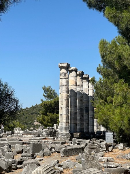 From Kusadasi: Priene Miletos Didyma Tour | ®ExcursionMania