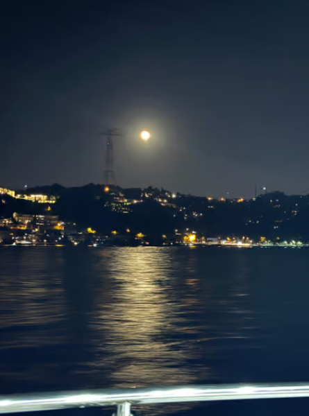 Istanbul: Bosphorus Dinner Cruise & Show w/Private Table | ®ExcursionMania
