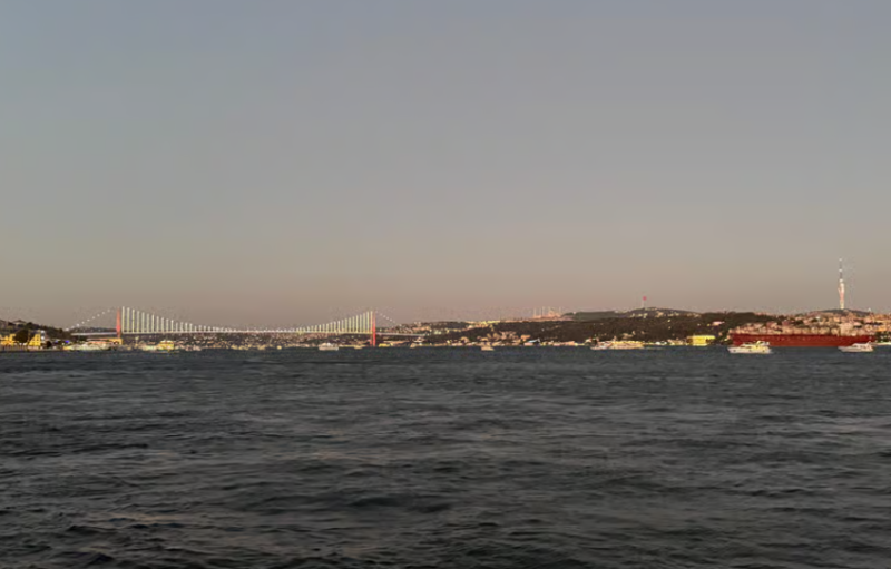 Istanbul: Bosphorus Dinner Cruise & Show w/Private Table | ®ExcursionMania