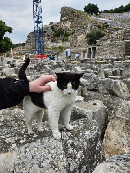 Marmaris Ephesus Guided Tour w/ The House of Mary | ®ExcursionMania