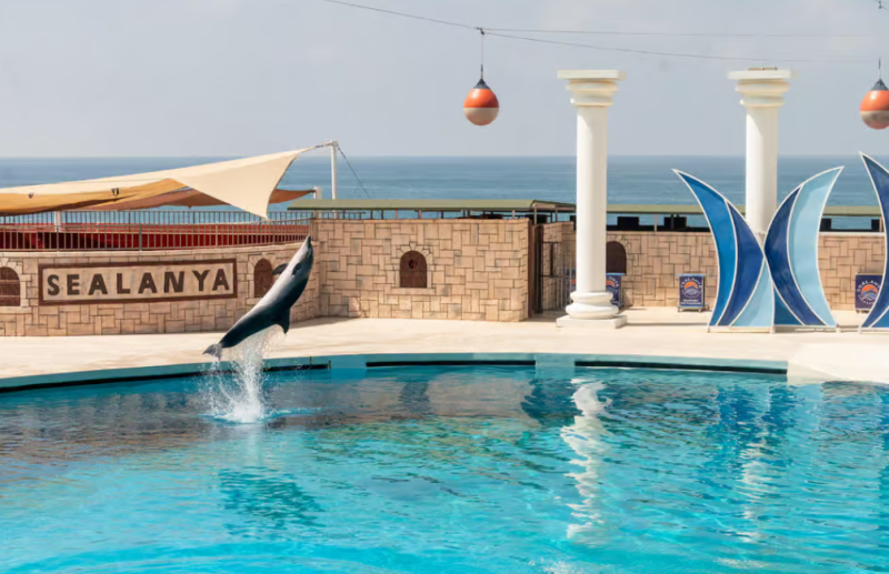Alanya Dolphin Show: A Delight for All Ages | ®ExcursionMania