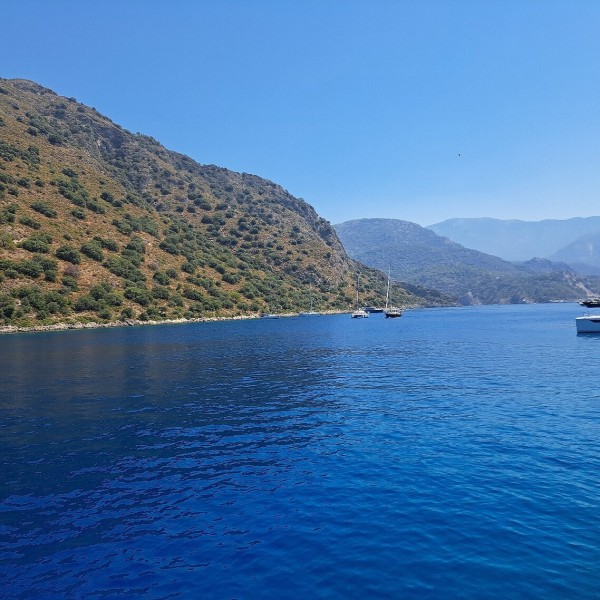 Fethiye: Butterfly Valley Boat Trip with Optional Pickup | ®ExcursionMania