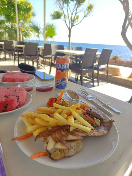 Alanya: Dolphin Show & Swimming with Dolphins Tour | ®ExcursionMania