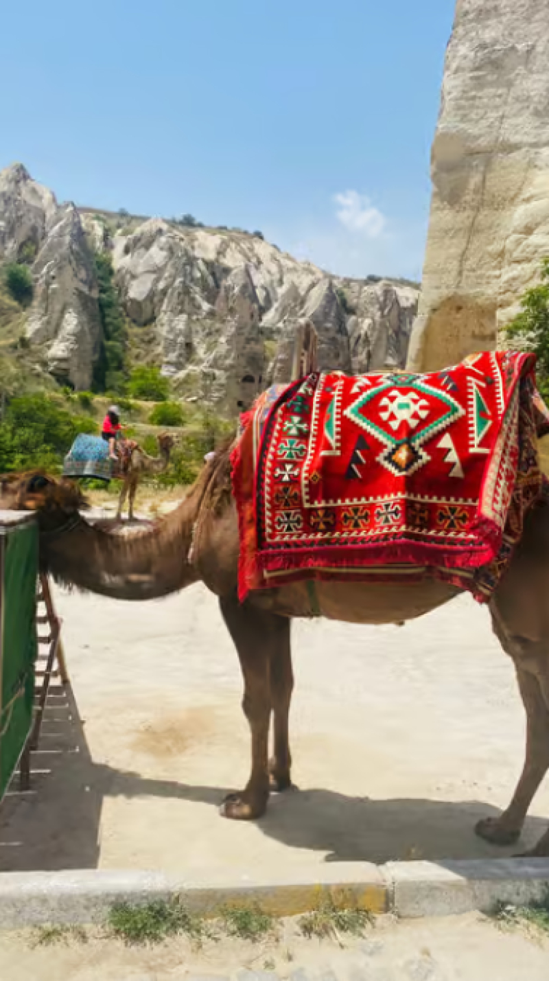 Magical Cappadocia & Vibrant Istanbul: A 4-Day Getaway | ®ExcursionMania