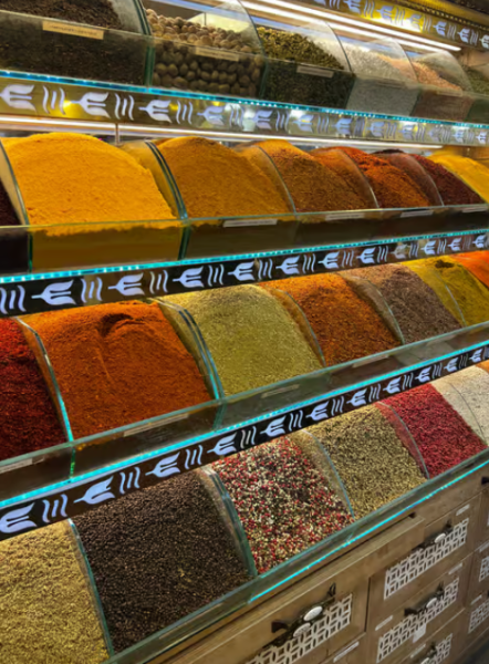 Istanbuls Highlights: A Full-Day Guided Tour | ®ExcursionMania