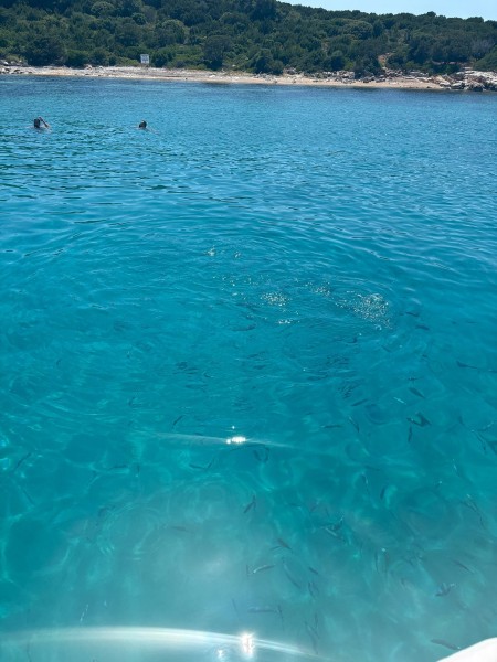 Bodrum Orak Island Tour: Unveiling Bodrums Best-Kept Secret | ®ExcursionMania