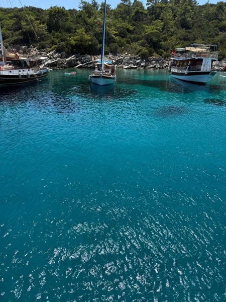 Bodrum: Bodrum Orak Island Tour: Unveiling Bodrums Best-Kept Secret | ®ExcursionMania