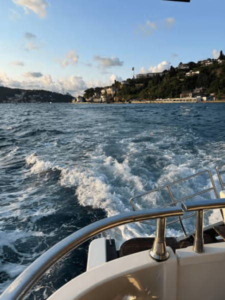 Istanbul: Bosphorus Sunset Cruise Experience with Live Guide | ®ExcursionMania