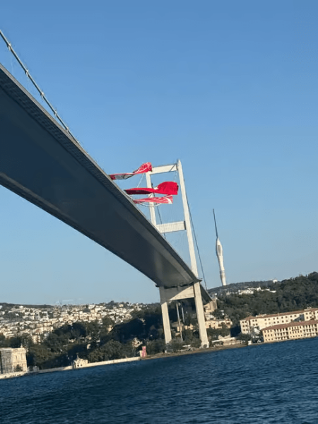 Istanbul: Bosphorus Sunset Cruise Experience with Live Guide | ®ExcursionMania