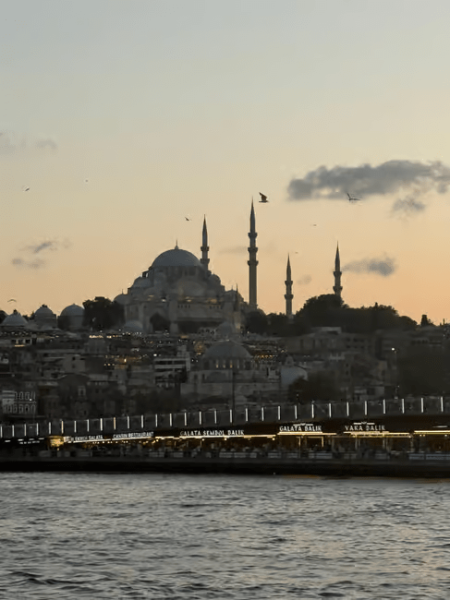 Istanbul: Bosphorus Sunset Cruise Experience with Live Guide | ®ExcursionMania