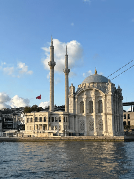 Istanbul: Bosphorus Sunset Cruise Experience with Live Guide | ®ExcursionMania