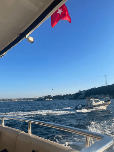 Istanbul: Bosphorus Sunset Cruise Experience with Live Guide | ®ExcursionMania