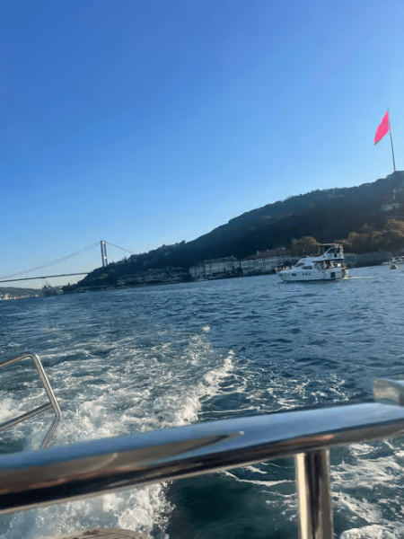 Istanbul: Bosphorus Sunset Cruise Experience with Live Guide | ®ExcursionMania