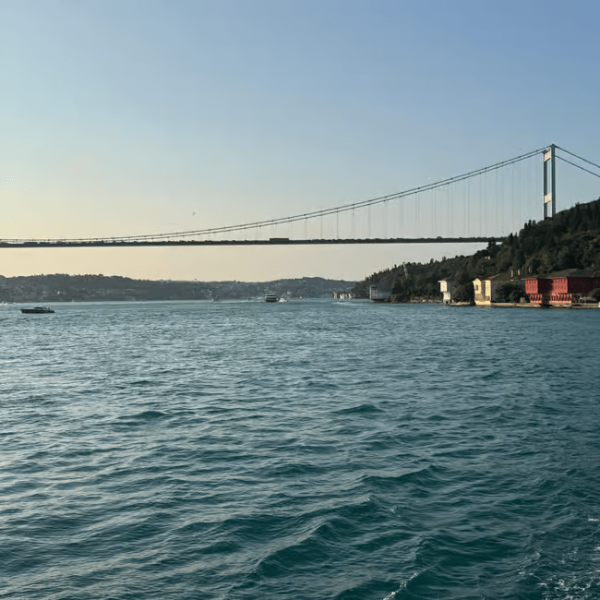Istanbul: Bosphorus Sunset Cruise Experience with Live Guide | ®ExcursionMania