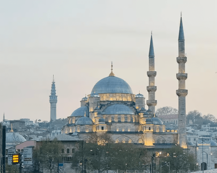 Istanbul: Bosphorus Sunset Cruise Experience with Live Guide | ®ExcursionMania