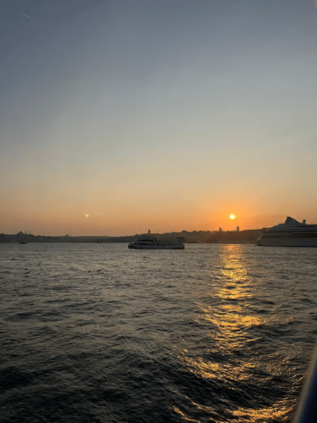 Istanbul: Bosphorus Sunset Cruise Experience with Live Guide | ®ExcursionMania
