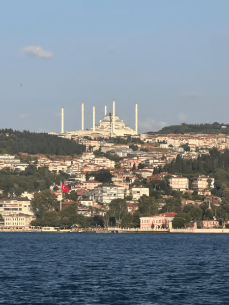 Istanbul: Bosphorus Sunset Cruise Experience with Live Guide | ®ExcursionMania