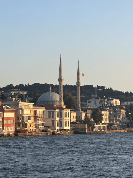 Istanbul: Bosphorus Sunset Cruise Experience with Live Guide | ®ExcursionMania