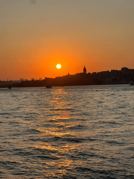 Istanbul: Bosphorus Sunset Cruise Experience with Live Guide | ®ExcursionMania