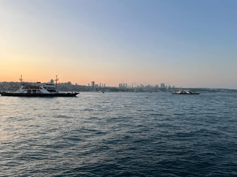Istanbul: Bosphorus Sunset Cruise Experience with Live Guide | ®ExcursionMania