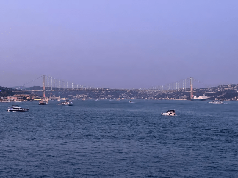 Istanbul: Bosphorus Sunset Cruise Experience with Live Guide | ®ExcursionMania
