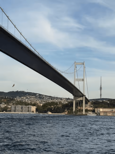 Istanbul: Bosphorus Sunset Cruise Experience with Live Guide | ®ExcursionMania
