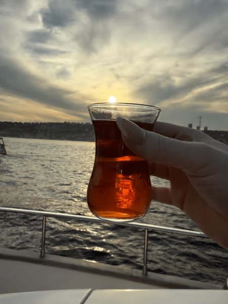 Istanbul: Bosphorus Sunset Cruise Experience with Live Guide | ®ExcursionMania