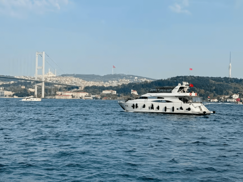 Istanbul: Bosphorus Sunset Cruise Experience with Live Guide | ®ExcursionMania
