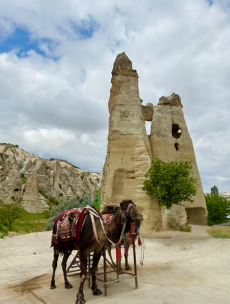 From Istanbul: Cappadocia Day Trip with Flights | ®ExcursionMania