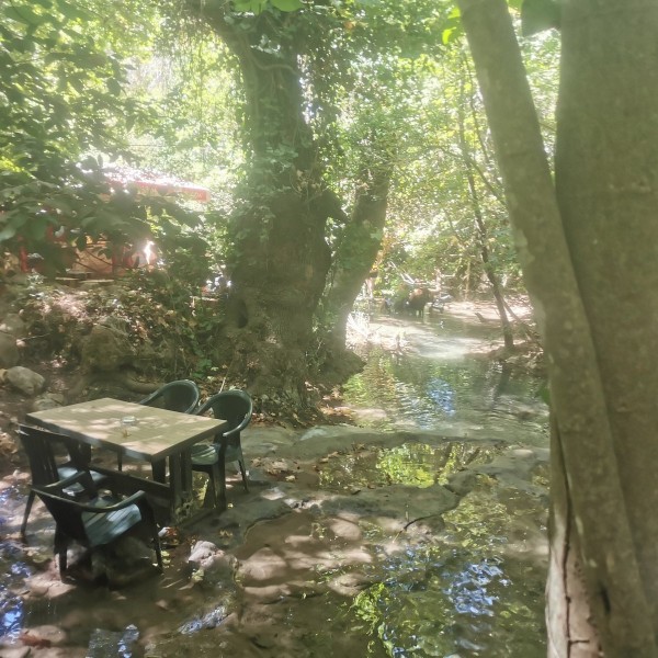 Marmaris: Jeep Safari Adventure Trip With Lunch | ®ExcursionMania