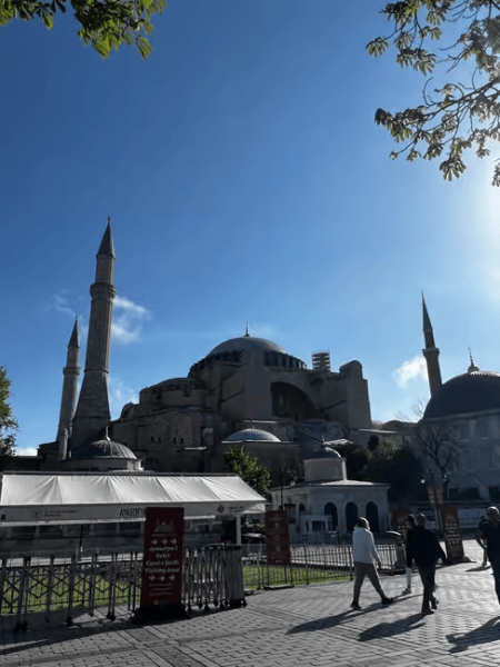 Istanbul: Hagia Sophia Blue Mosque and Grand Bazaar Tour | ®ExcursionMania