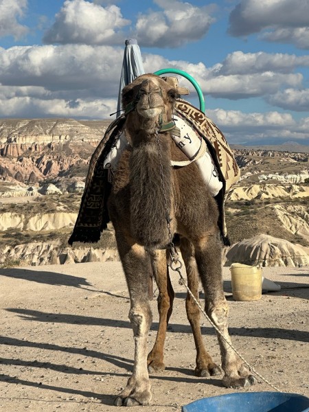 2-Day Cappadocia Tour from Antalya with Hot Air Balloon Experience | ®ExcursionMania