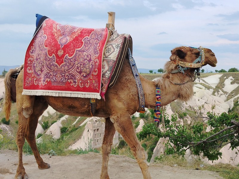 2-Day Cappadocia Tour from Antalya with Hot Air Balloon Experience | ®ExcursionMania