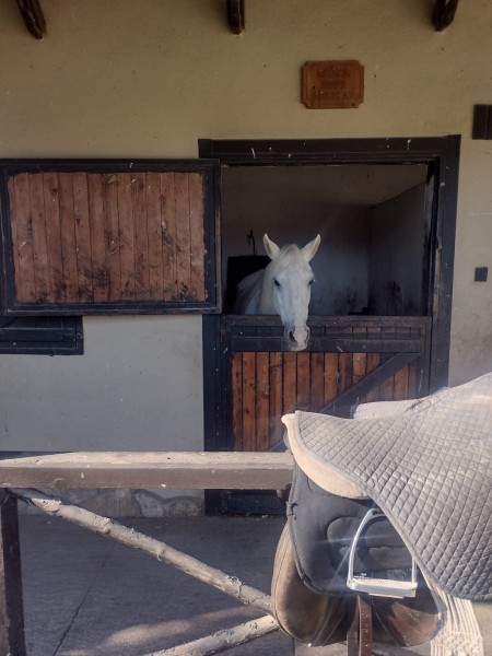 Kemer Horseback Adventure: Ride Through Natures Charm | ®ExcursionMania