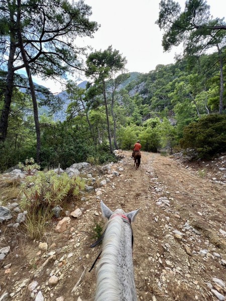 Kemer Horseback Adventure: Ride Through Natures Charm | ®ExcursionMania