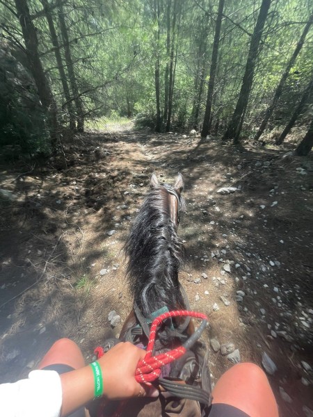 Kemer Horseback Adventure: Ride Through Natures Charm | ®ExcursionMania
