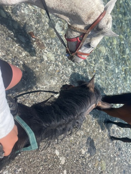 Kemer Horseback Adventure: Ride Through Natures Charm | ®ExcursionMania