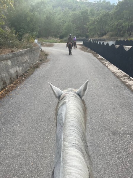 Kemer Horseback Adventure: Ride Through Natures Charm | ®ExcursionMania