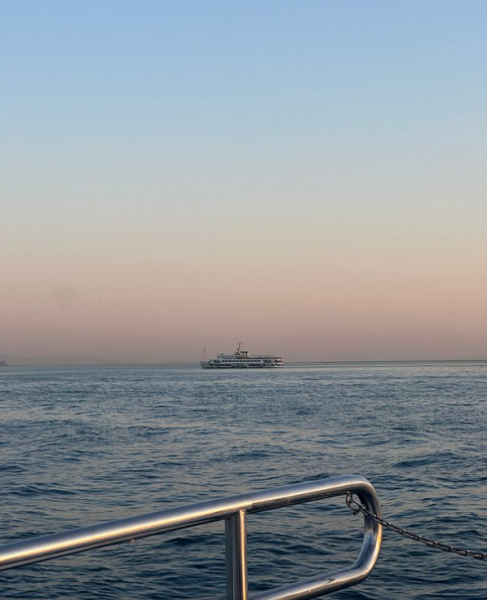 Istanbul: Bosphorus Private Yacht Cruise with Snacks | ®ExcursionMania