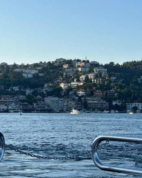 Istanbul: Bosphorus Private Yacht Cruise with Snacks | ®ExcursionMania